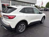 Used 2022 Ford Escape SEL image 3