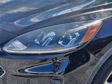 Used 2021 Ford Escape SE w/ Convenience Package image 5