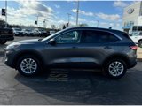 Used 2022 Ford Escape SE image 5