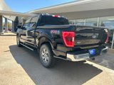 Used 2022 Ford F150 XLT w/ Equipment Group 302A High image 5