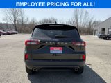 New 2025 Ford Escape ST-Line w/ Cold Weather Package image 6