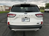 Used 2022 Ford Escape SE w/ Convenience Package image 4