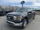 Used 2023 Ford F150 XLT w/ Equipment Group 302A High image 3