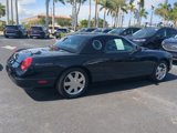 Used 2002 Ford Thunderbird image 4