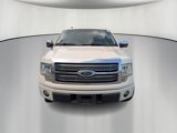 Used 2009 Ford F150 Platinum image 2