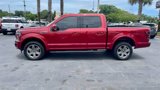 Used 2019 Ford F150 XLT w/ Equipment Group 302A Luxury image 3