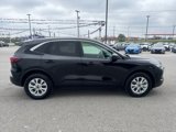 Used 2023 Ford Escape Active w/ Tech Pack #1 image 6