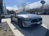 Certified 2022 Ford Mustang Premium image 2