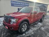 Used 2011 Ford F150 FX4 w/ FX Plus Pkg image 2