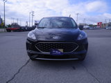 Certified 2022 Ford Escape SE w/ Convenience Package image 2