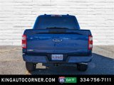 New 2023 Ford F150 XL w/ STX Appearance Package image 6