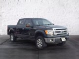 Used 2013 Ford F150 XLT w/ Luxury Equipment Group image 2