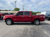 Used 2013 Ford F150 XLT w/ Luxury Equipment Group image 2