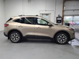 Used 2020 Ford Escape Titanium image 4