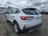 Certified 2022 Ford Escape S image 2