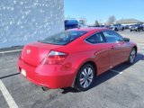 Used 2009 Honda Accord EX-L image 3