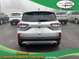Used 2020 Ford Escape SE image 6