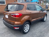 Used 2019 Ford EcoSport SE w/ SE Convenience Package image 5