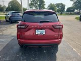 New 2024 Ford Escape ST-Line Elite w/ Premium Technology Package image 4