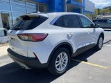 Used 2022 Ford Escape SE image 4