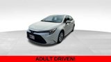 Used 2024 Toyota Corolla LE image 2