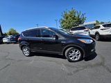 Used 2014 Ford Escape Titanium image 2