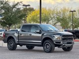 Used 2019 Ford F150 Raptor w/ Equipment Group 802A Luxury image 3