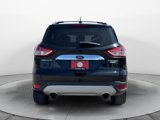 Used 2014 Ford Escape Titanium w/ Equipment Group 401A image 4