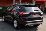 Used 2020 Ford Escape SE image 6