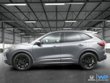 Used 2023 Ford Escape ST-Line Elite w/ Premium Technology Package image 2