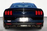 Used 2015 Ford Mustang Premium w/ Enhanced Security Package image 4
