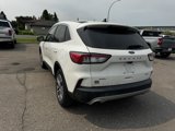 Used 2022 Ford Escape SEL image 4