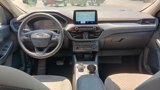 Used 2020 Ford Escape SE image 4