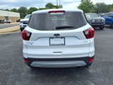 Used 2019 Ford Escape SE image 4
