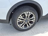 Used 2022 Ford Escape SEL w/ Technology Package image 6