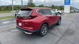 Used 2020 Honda CR-V EX image 4