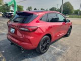 New 2024 Ford Escape ST-Line Elite w/ Premium Technology Package image 3