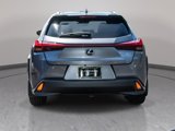 Certified 2021 Lexus UX 250h w/ Luxury Package image 6