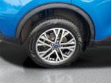 Used 2020 Ford Escape SEL image 5