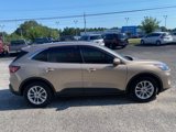 Used 2020 Ford Escape SE image 5