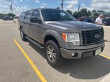 Used 2014 Ford F150 STX w/ Equipment Group 201A Mid image 3