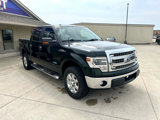 Used 2014 Ford F150 XLT w/ Equipment Group 302A Luxury image 3