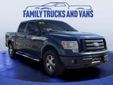 Used 2009 Ford F150 FX4 image 6