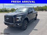 Used 2016 Ford F150 XLT w/ Equipment Group 302A Luxury image 3