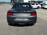 Used 2024 Ford Mustang Premium image 4