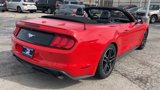 Used 2022 Ford Mustang Premium image 5