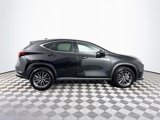 Used 2025 Lexus NX 350 AWD w/ Premium Package image 5