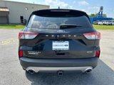 Certified 2021 Ford Escape Titanium w/ Titanium Elite Package image 5