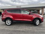 Used 2019 Ford Escape SEL image 4