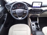 Used 2022 Ford Escape SE w/ Cold Weather Package image 5